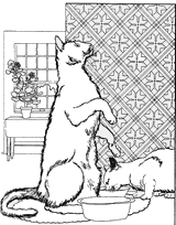 coloriage chats devant leur gamelle